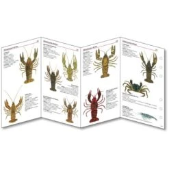 Sub-base Fischkarten Logbuch Einlagen Süsswasser Fische Mit SSI Lochung -Actionsport-Wuerzburg Verkäufe 402 suesswasser ssi einlagen 2