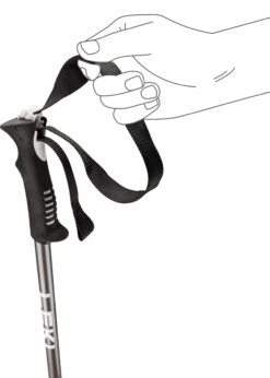 LEKI PRIMACY Skistock Skistöcke Für Erwachsene Collection 2024 -Actionsport-Wuerzburg Verkäufe 65346201 Primacy black light anth white 2024 3