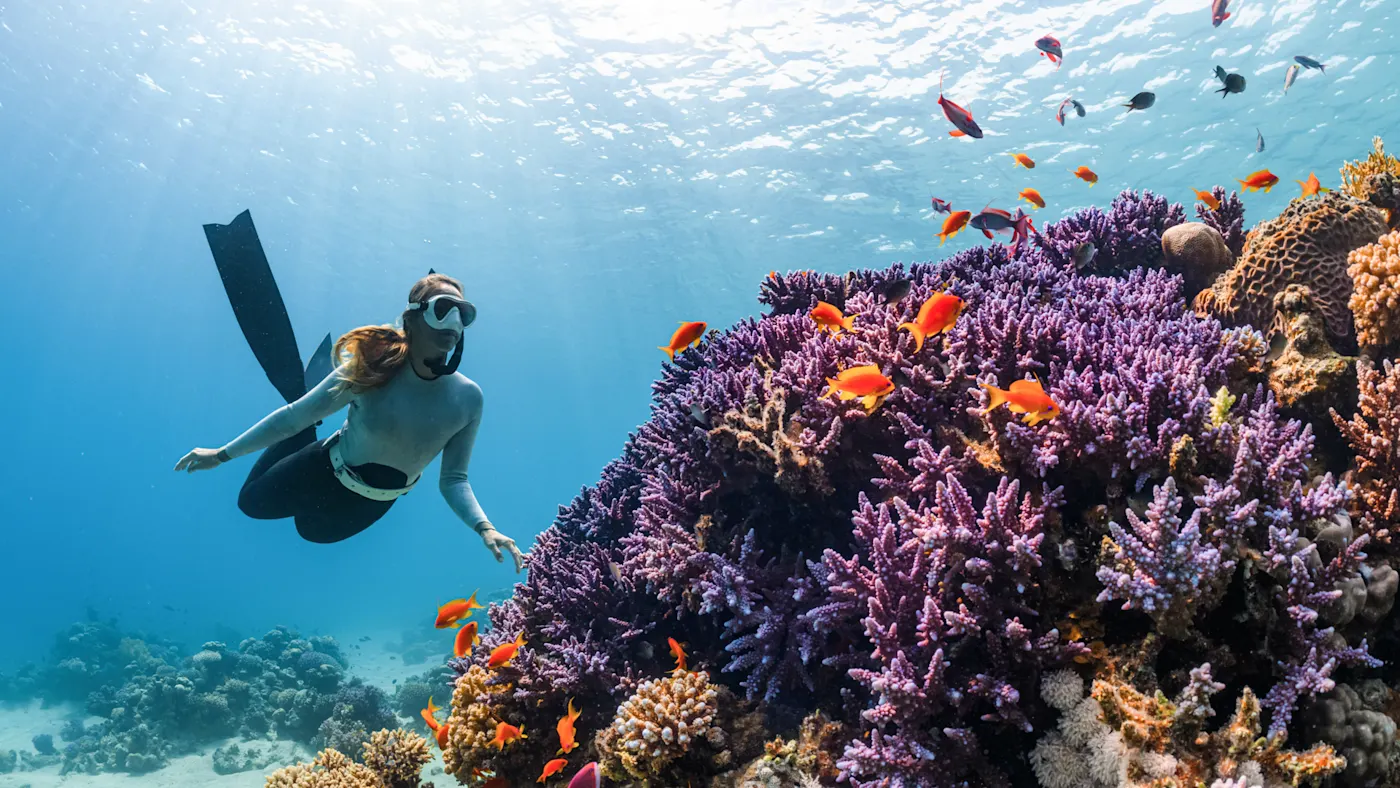 Actionsport-Wuerzburg Verkäufe -Actionsport-Wuerzburg Verkäufe Aktivit t Tauchen unterwasserwelt