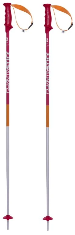 VÖLKL PHANTASTICK 2 Skistock Skistöcke Collection 2018