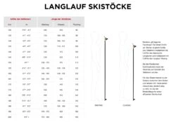ROSSIGNOL FT-600 CORK Tourenstock Langlaufskistock Collection 2023 -Actionsport-Wuerzburg Verkäufe rdi9520 ft 600 cork3